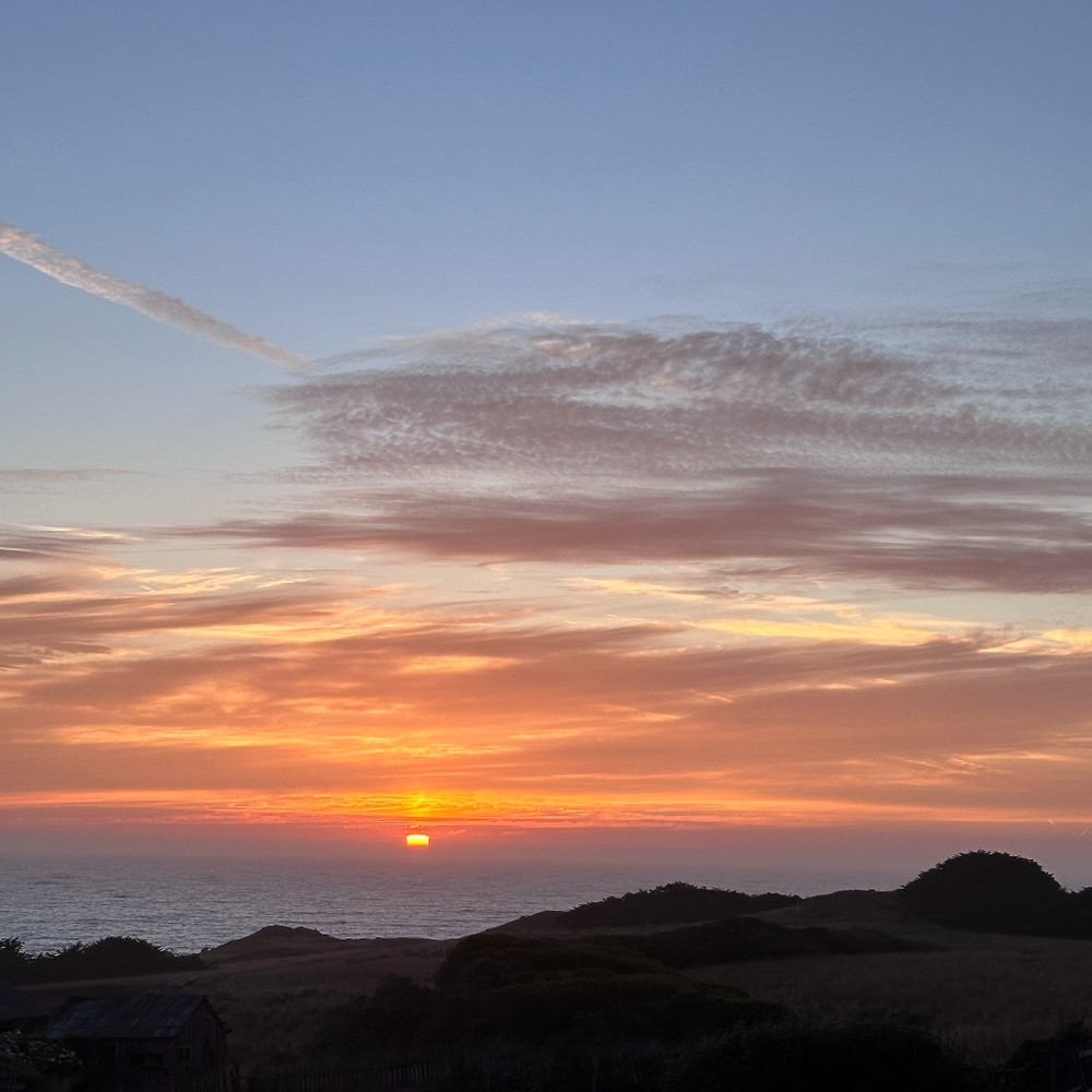 Meet your Posher, Katy